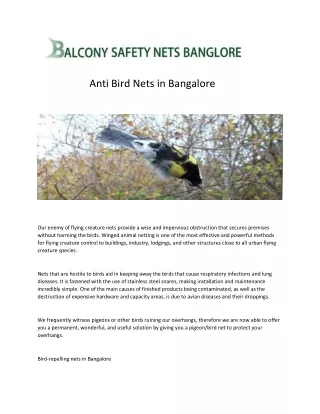 Anti Bird Nets in Bangalore