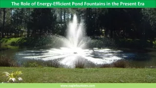 The Role of Energy-Efficient Pond Fountains in the Present Era