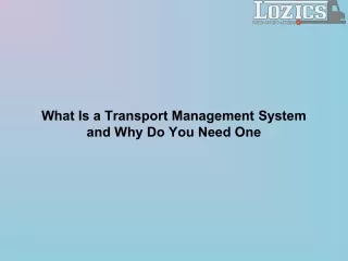 What Is a Transport Management System and Why Do You Need One