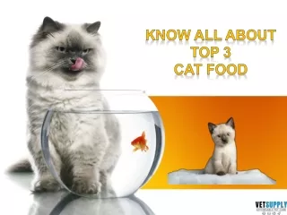 Know all about Top 3 Food for Cats | Huge Discounts on Pet Supplies | VetSupply