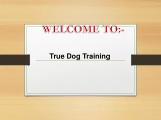 Looking for the best Dog trainer in Highett