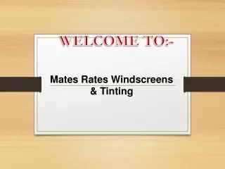 Looking for the best Windscreen Repairs in Bracken Ridge