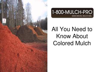 all you need to know about colored mulch