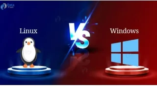 Why compare Linux and Windows