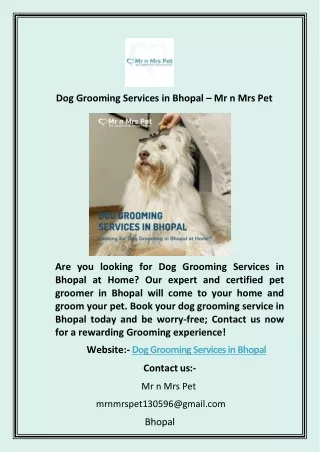 Dog Grooming Services in Bhopal