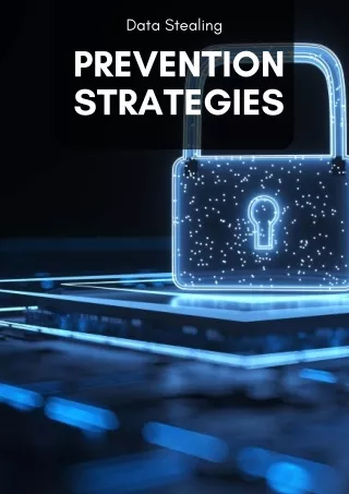 Data Stealing Prevention Strategies