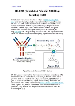 DS-8201 (Enhertu) A Potential ADC Drug Targeting HER2