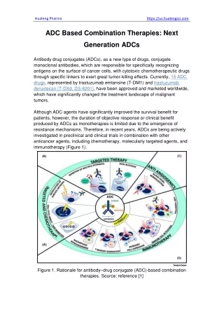 ADC Based Combination Therapies Next Generation ADCs