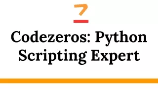 Codezeros: Python Scripting Expert