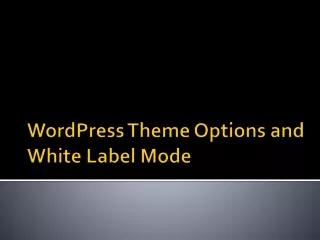 WordPress Theme Options and White Label Mode