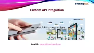 Custom API Integration