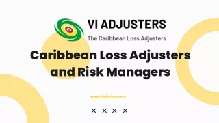 Loss Adjusters in Turks & Caicos Islands | VI Adjusters