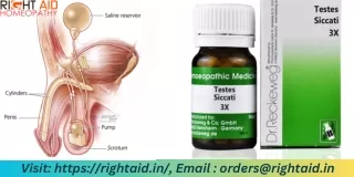 Online store to purchase Dr. Reckeweg Testes Siccati homeopathic trituration tablets