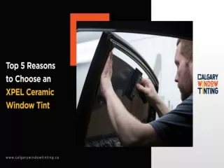 Top 5 Reasons to Choose an XPEL Ceramic Window Tint