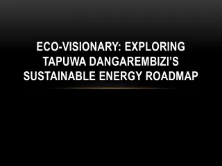 Eco-Visionary Exploring Tapuwa Dangarembizi’s Sustainable Energy Roadmap