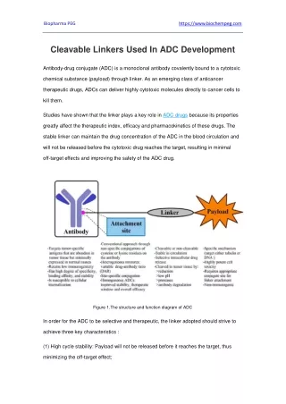 Cleavable Linkers Used In ADC Development