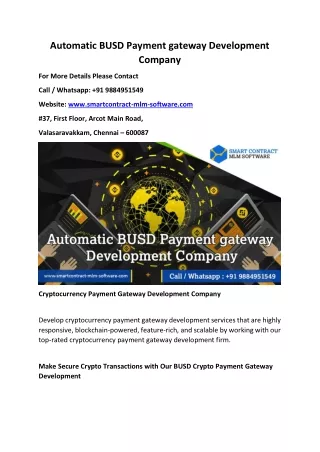 Automatic BUSD Payment gateway development company