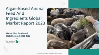 Algae-Based Animal Feed And Ingredients Global Market Report 2023