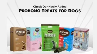 Tastiest Dog Treats Online in South Africa