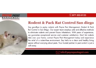 Rodent & Pack Rat Control San diego