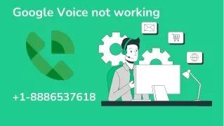 Google Voice not working