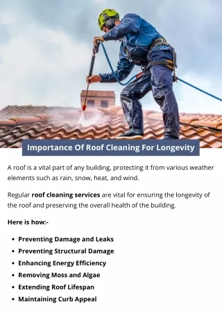 Importance Of Roof Cleaning For Longevity