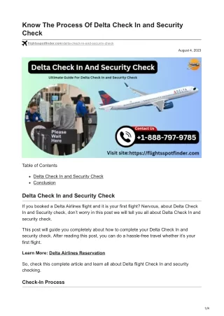 Know The Process Of Delta Check In and Security Check