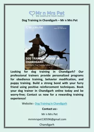 Dog Training in Chandigarh