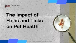 The Impact of Fleas and Ticks on Pet Health
