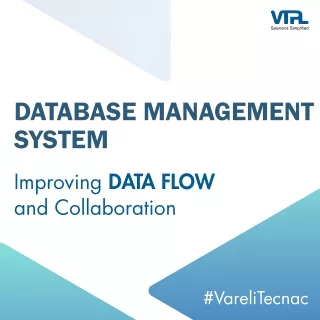 Robust Database Management System | VTPL