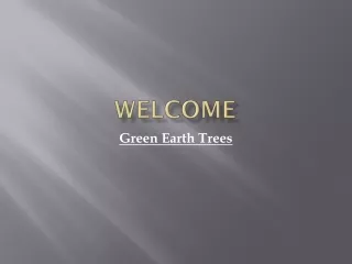 Best Tree Trimming Service in Fiesta Tech