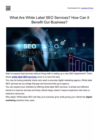 White Label SEO Services