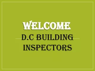 Are you looking for the best Pest Inspection in Niddrie