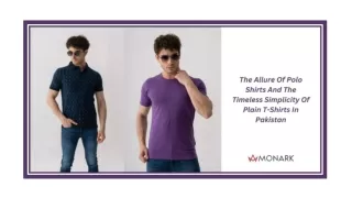The Allure Of Polo Shirts And The Timeless Simplicity Of Plain T-Shirts In Pakistan