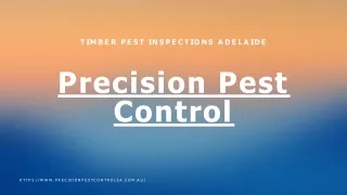 Ant Pest Control Adelaide