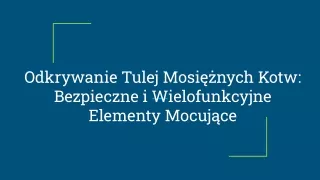 Odkrywanie Tulej Mosiężnych Kotw_ Bezpieczne i Wielofunkcyjne Elementy Mocujące