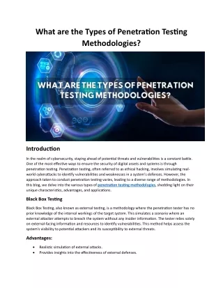 Types of Penetration Testing Methodologies