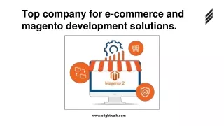 Top company for e-commerce and magento development solutions.