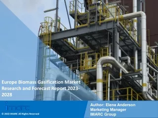 Europe Biomass Gasification Market Research and Forecast Report 2023-2028