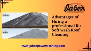 Advantages of Hiring a professional for Soft wash Roof Cleaning