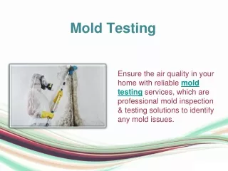 Mold Testing