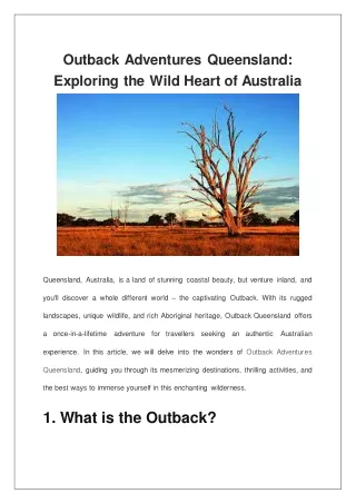 Outback Adventures Queensland Exploring the Wild Heart of Australia