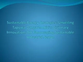 Sustainable Energy Strategies Unveiling Tapuwa Dangarembizi’s Visionary Innovations for Encouraging Sustainable Industri