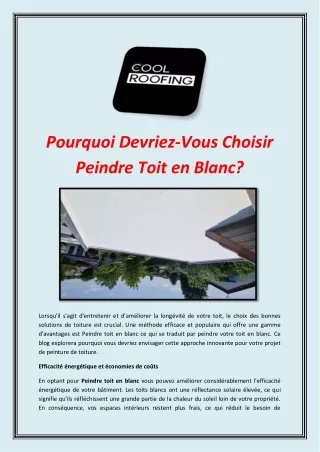 Pourquoi Devriez-Vous Choisir Peindre Toit en Blanc?