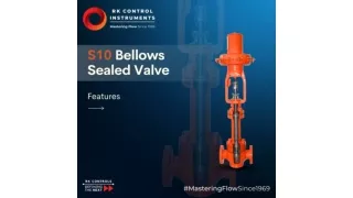 S10 Bellows Sealed Valve in India