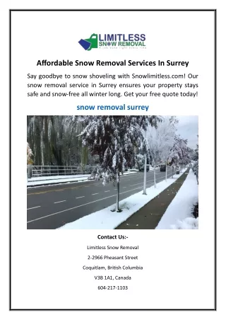 Affordable Snow Removal Services In Surrey