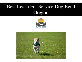 Best Leash For Service Dog Bend Oregon