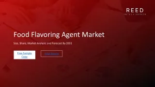 Food Flavoring Agent Market Potential and Growth Opportunities