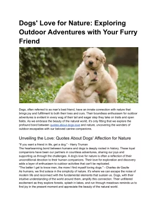 Dogs' Love for Nature_ Exploring Outdoor Adventures with Your Furry Friend