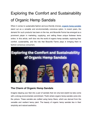 Exploring the Comfort and Sustainability of Organic Hemp Sandals